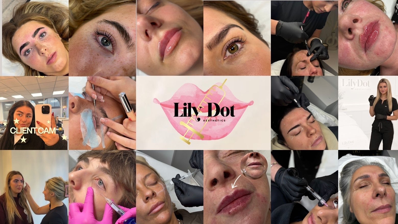 Collage of makeup looks and lip swatches with Lily Dot Cosmetics branding in center, showing various lip colors and beauty applications